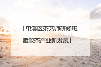 屯溪区茶艺师研修班赋能茶产业新发展