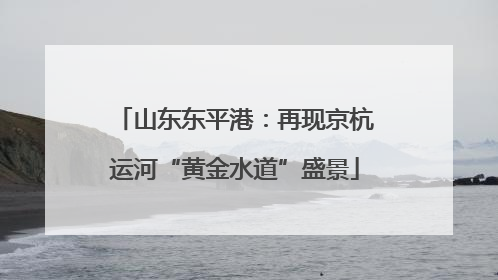 山东东平港：再现京杭运河“黄金水道”盛景