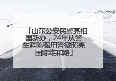 山东公安民警亮相国新办，24年从警生涯陈强用警徽照亮国际维和路