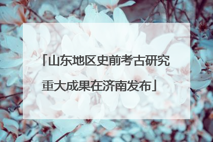 山东地区史前考古研究重大成果在济南发布