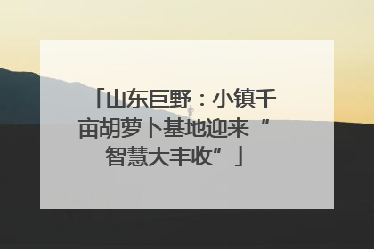 山东巨野：小镇千亩胡萝卜基地迎来“智慧大丰收”