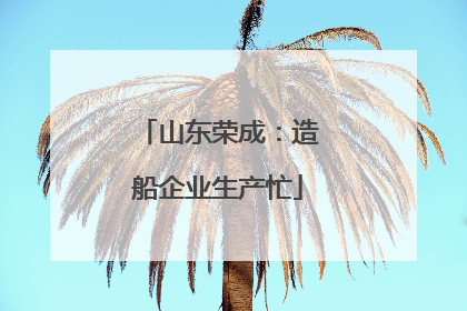山东荣成：造船企业生产忙
