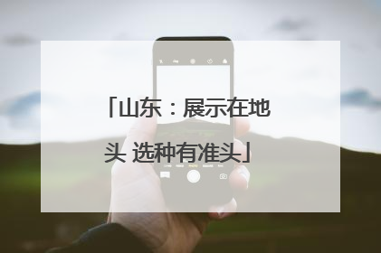 山东：展示在地头 选种有准头