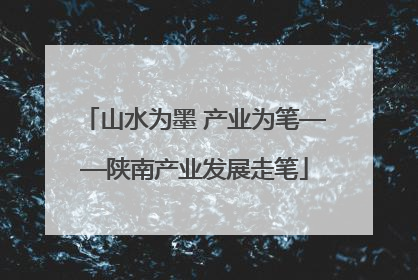 山水为墨 产业为笔——陕南产业发展走笔