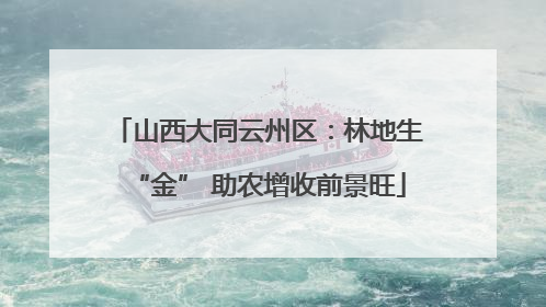 山西大同云州区：林地生“金” 助农增收前景旺