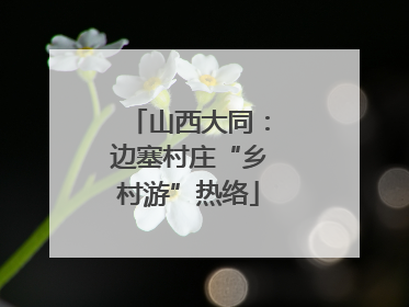 山西大同：边塞村庄“乡村游”热络