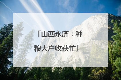 山西永济：种粮大户收获忙