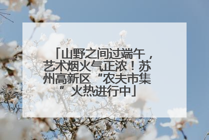 山野之间过端午，艺术烟火气正浓！苏州高新区“农夫市集”火热进行中