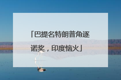 巴提名特朗普角逐诺奖，印度恼火