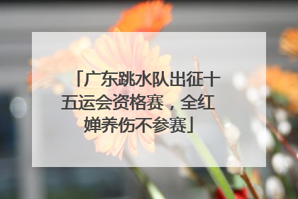 广东跳水队出征十五运会资格赛，全红婵养伤不参赛