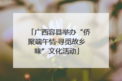 广西容县举办“侨聚端午情·寻觅故乡味”文化活动