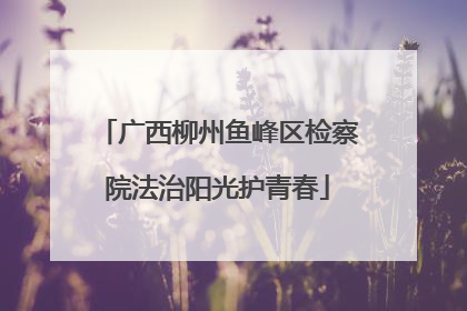 广西柳州鱼峰区检察院法治阳光护青春