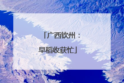 广西钦州：早稻收获忙