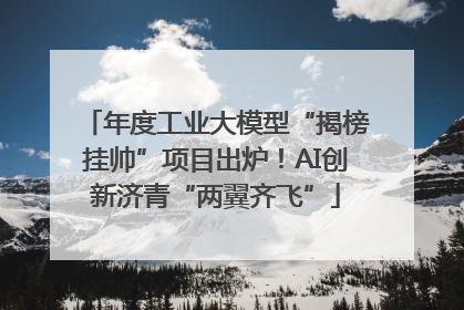 年度工业大模型“揭榜挂帅”项目出炉！AI创新济青“两翼齐飞”