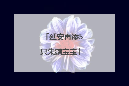 延安再添5只朱鹮宝宝