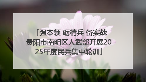 强本领 砺精兵 备实战 贵阳市南明区人武部开展2025年度民兵集中轮训