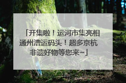 开集啦！运河市集亮相通州漕运码头！超多京杭非遗好物等您来~