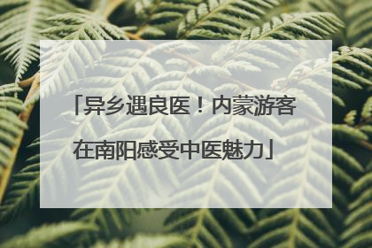 异乡遇良医！内蒙游客在南阳感受中医魅力