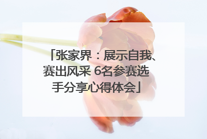 张家界：展示自我、赛出风采 6名参赛选手分享心得体会
