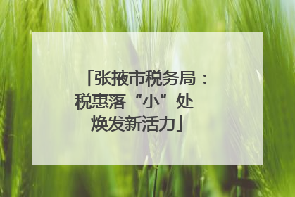 张掖市税务局：税惠落“小”处 焕发新活力