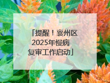 提醒！襄州区2025年慢病复审工作启动