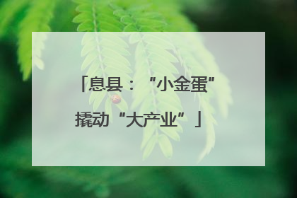 息县：“小金蛋”撬动“大产业”