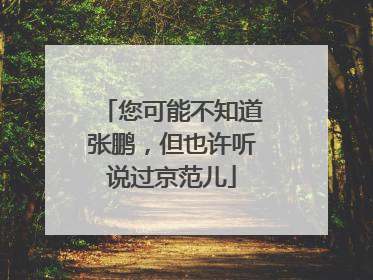 您可能不知道张鹏，但也许听说过京范儿