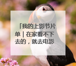 我的上影节片单｜在家看不下去的，就去电影节看！