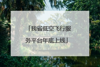 我省低空飞行服务平台年底上线