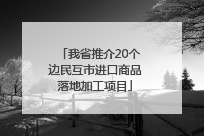 我省推介20个边民互市进口商品落地加工项目