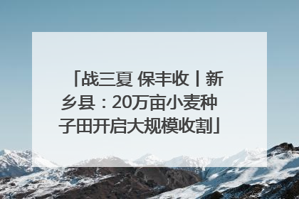 战三夏 保丰收丨新乡县：20万亩小麦种子田开启大规模收割