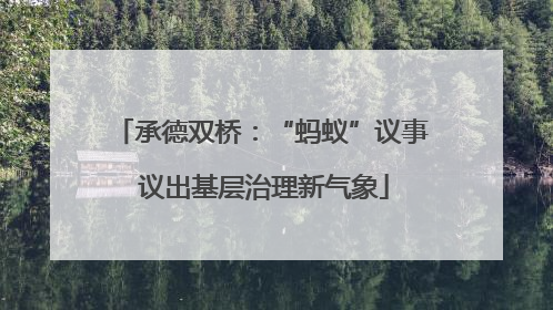 承德双桥：“蚂蚁”议事 议出基层治理新气象