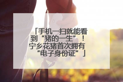 手机一扫就能看到“猪的一生”！宁乡花猪首次拥有“电子身份证”