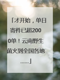 才开始，单日寄件已超2000单！云南野生菌火到全国各地……