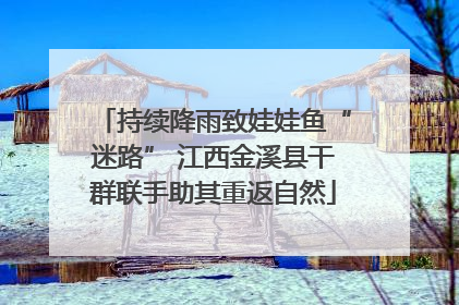 持续降雨致娃娃鱼“迷路” 江西金溪县干群联手助其重返自然