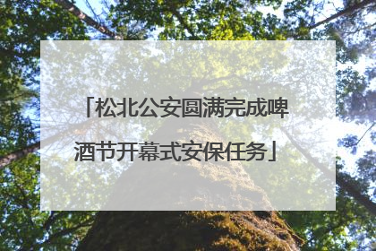 松北公安圆满完成啤酒节开幕式安保任务