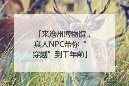 来沧州博物馆，真人NPC带你“穿越”到千年前