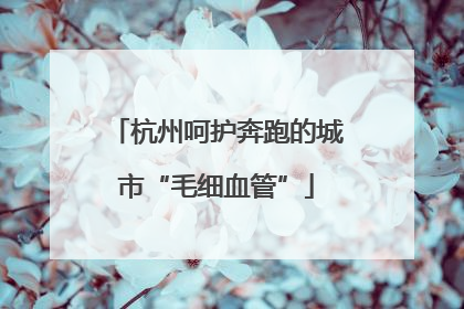 杭州呵护奔跑的城市“毛细血管”