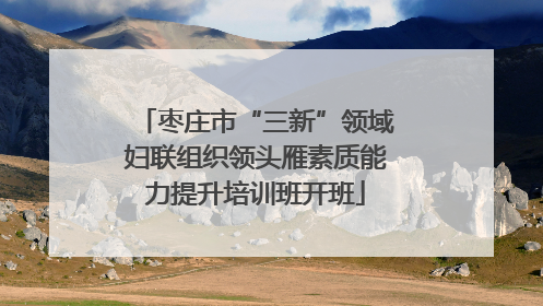 枣庄市“三新”领域妇联组织领头雁素质能力提升培训班开班