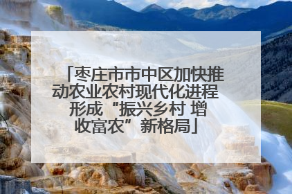 枣庄市市中区加快推动农业农村现代化进程 形成“振兴乡村 增收富农”新格局