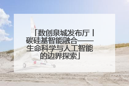 数创泉城发布厅丨碳硅基智能融合——生命科学与人工智能的边界探索