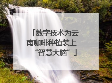 数字技术为云南咖啡种植装上“智慧大脑”
