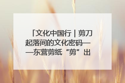 文化中国行｜剪刀起落间的文化密码——东营剪纸“剪”出非遗传承与现代生活的融合之道