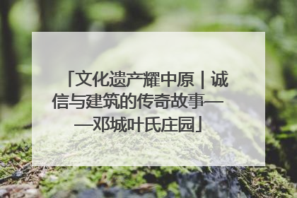 文化遗产耀中原｜诚信与建筑的传奇故事——邓城叶氏庄园