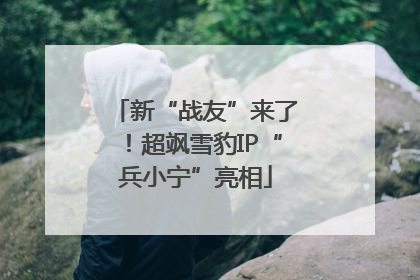 新“战友”来了！超飒雪豹IP“兵小宁”亮相