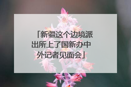 新疆这个边境派出所上了国新办中外记者见面会