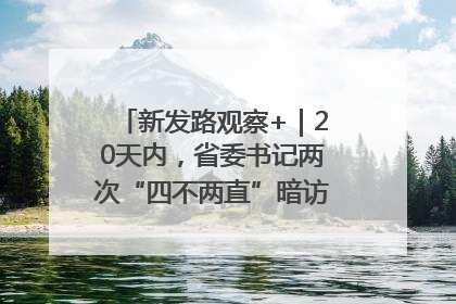 新发路观察+｜20天内，省委书记两次“四不两直”暗访，有何深意？