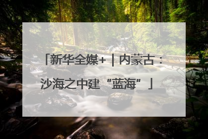 新华全媒+｜内蒙古：沙海之中建“蓝海”