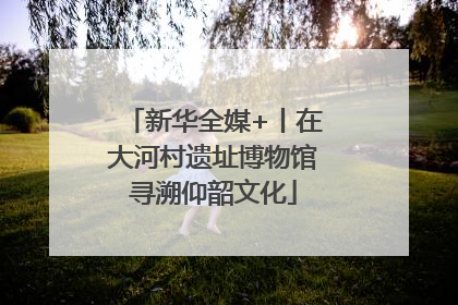 新华全媒+丨在大河村遗址博物馆寻溯仰韶文化