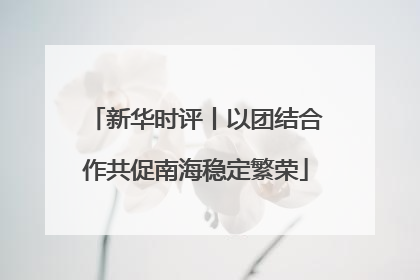 新华时评丨以团结合作共促南海稳定繁荣
